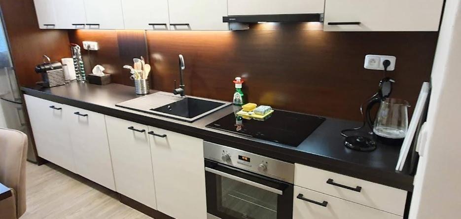Academic Apartment Brno Bagian luar foto
